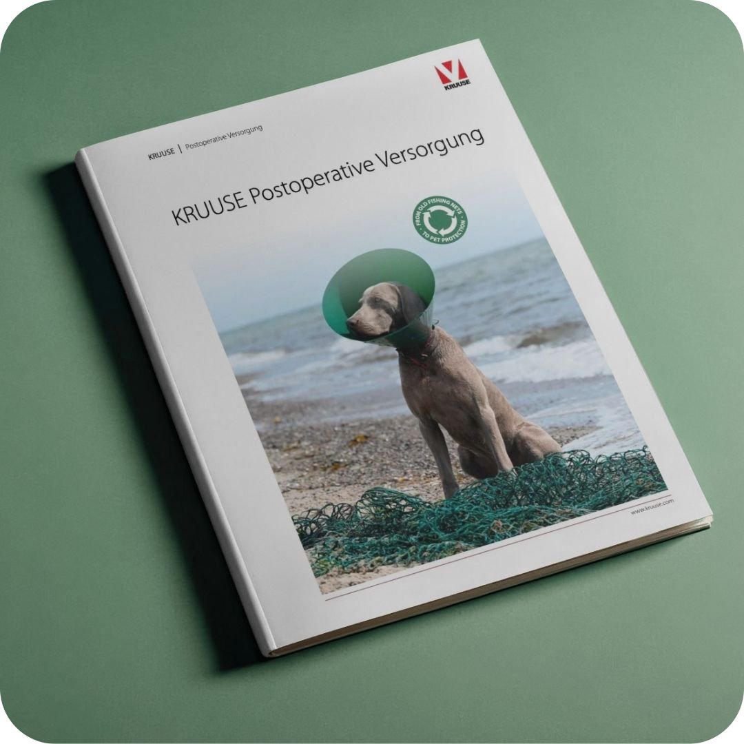 Hund, Kragen/Schill**, Hundekragen, Strand, Netz, Postoperative Versorgung, Hund, Kegel, Zeitschrift, Kruse