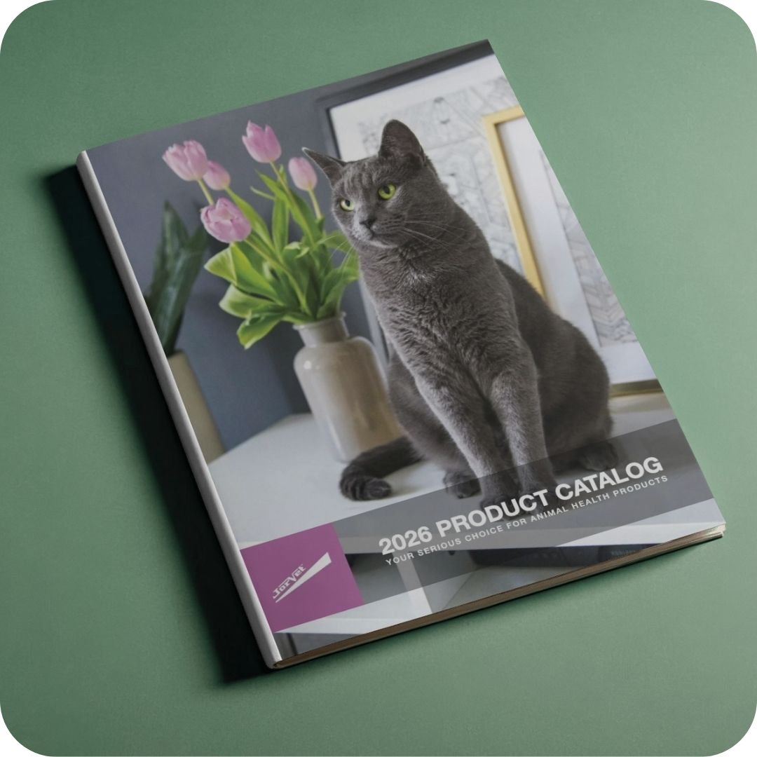 Katzenkatalog, Katalog, Haustierprodukt, Tierfutter, Tierbedarf, katze, katalog, hauskatze, grau, blumen