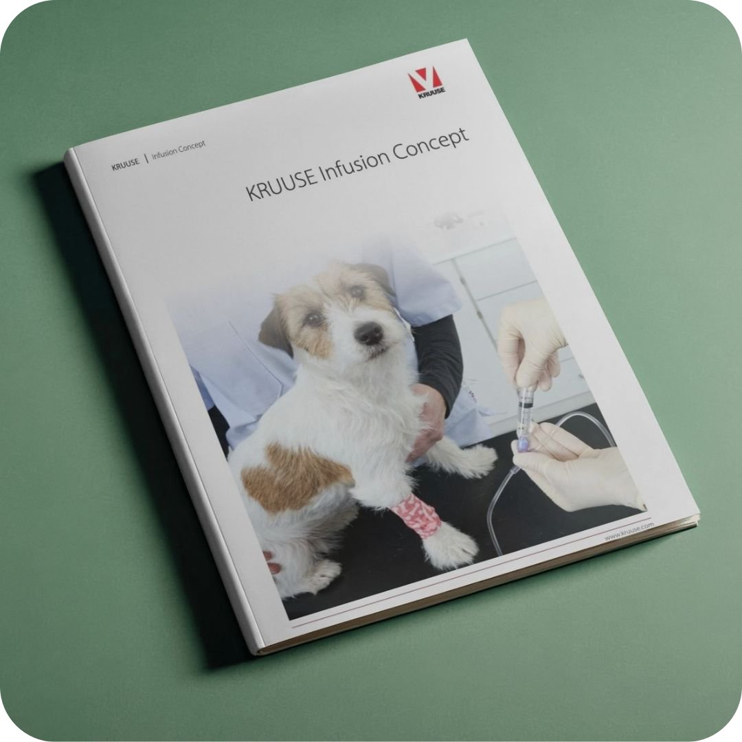 Hund, Tierarzt, Infusion, Kleiner Hund, Beinbandage, Hund, Tierarzt, Infusion, Verband, Krankenpflege