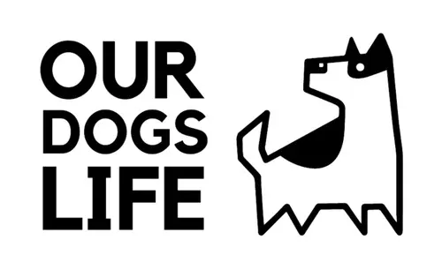 DogsLife_Logo