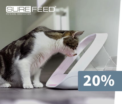 Katze, haustier_futterspender, Futterschüssel, automatischer_fresser, grau_pink