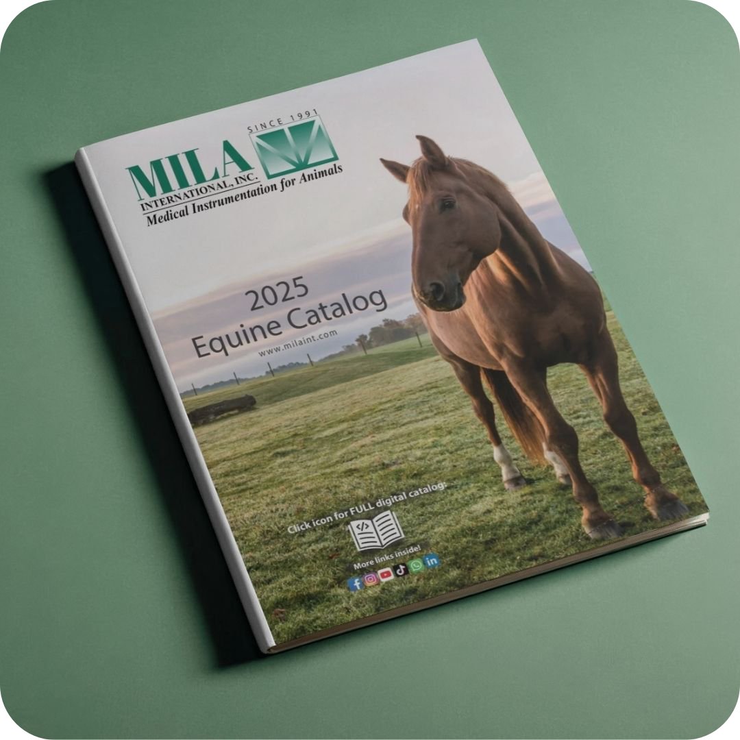 Pferd, Katalog, Hingst/Pferd, Deckblatt, Tier, Pferd, Pferdekatalog, Feld, Braunes Pferd, Cover-Bild