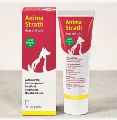 Hundefutter, Katzennahrung, Tubengepackt, rotes Paket, 125 g