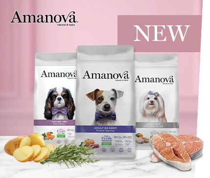 dog food, pet kibble, adult, grain-free, salmon flavor