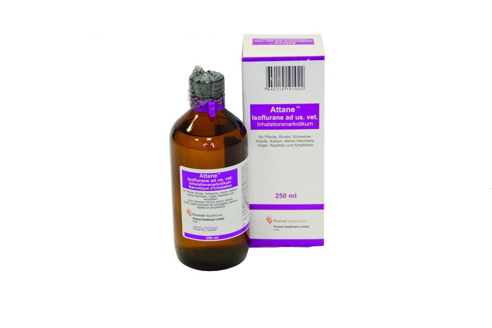 Attane Isoflurane ad us. vet., Inhalationsnarkotikum